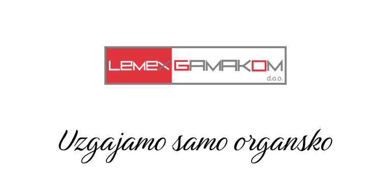 Lemex Gamakom, Leskovac